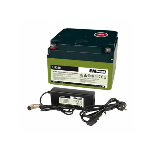 Lithium-Ionen Akku Batterie LI1230 30Ah LiFePO4 mit Ladegerät für Rangierhilfen