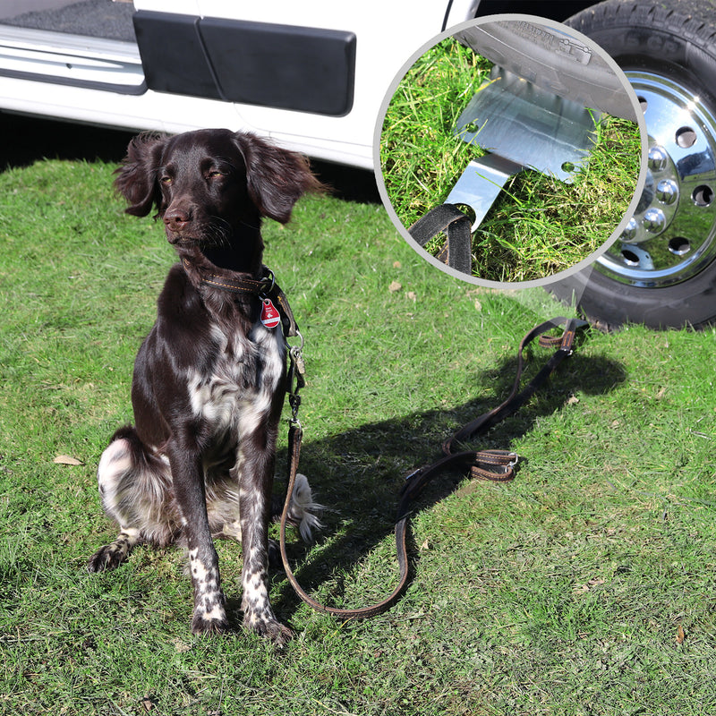 Dogholder Bodenanker für Hunde aus Edelstahl | Hunde Anker | Bodenplatte