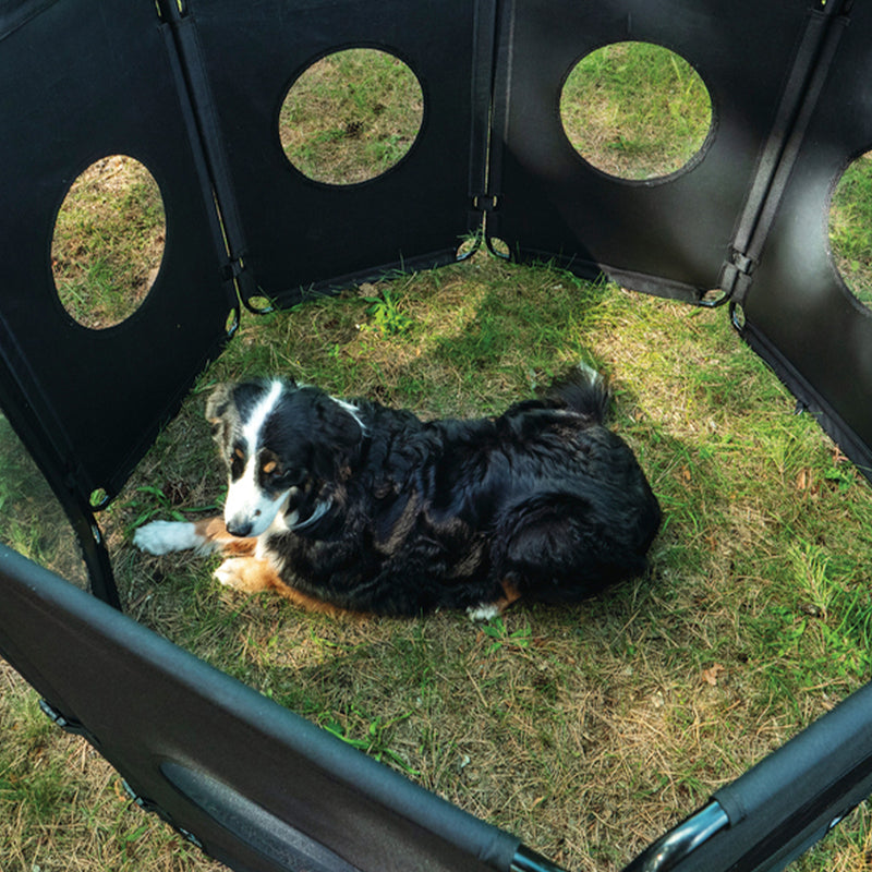 Camping Hundeauslauf faltbar Freigehege leicht 91 cm Höhe mit Türeinlass